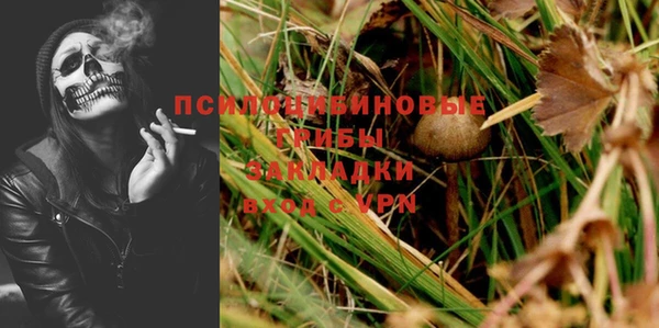 гидра Ладушкин