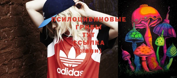 МДМА Лагань