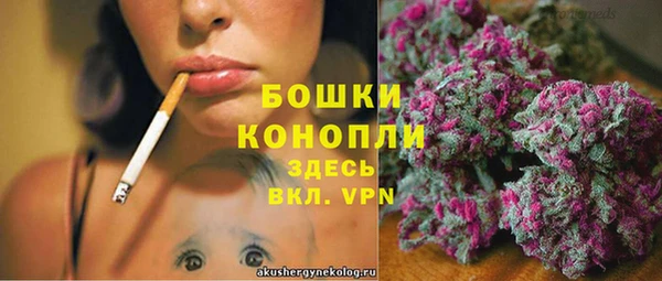 ALPHA-PVP Няндома