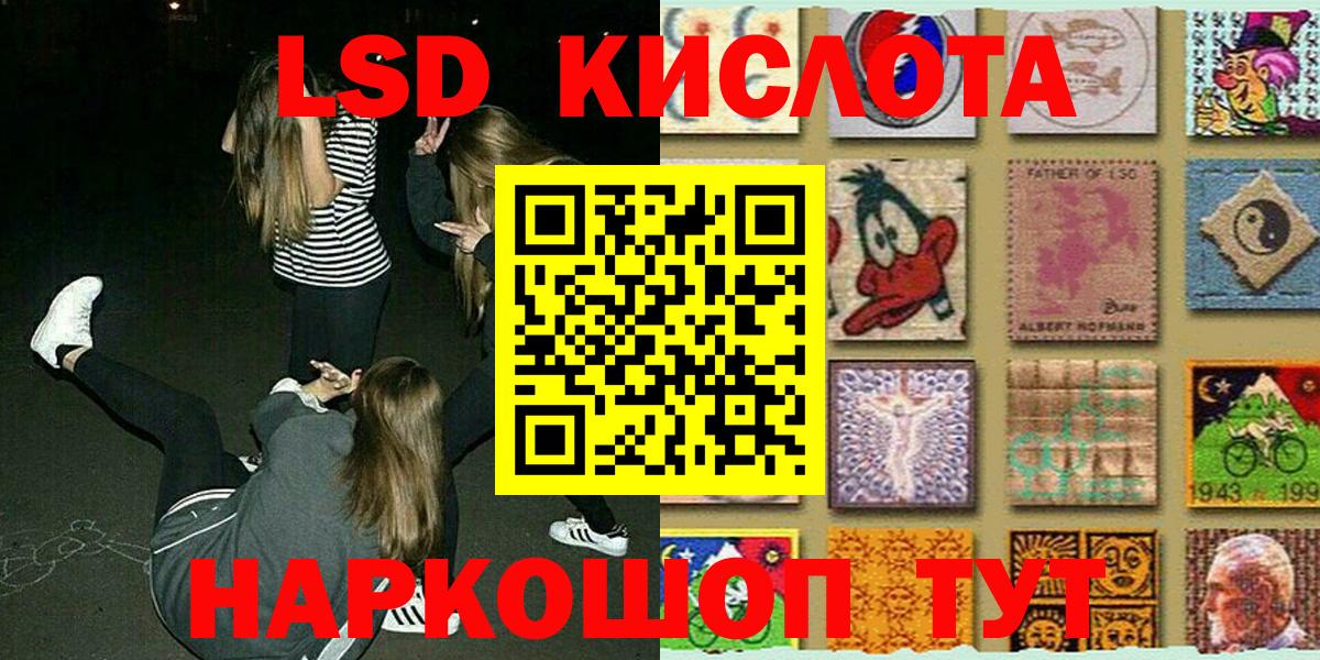 Галлюциногенные грибы Новодвинск