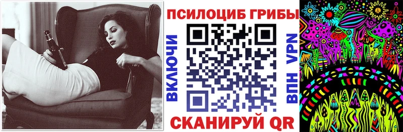 продажа наркотиков  Новодвинск  Псилоцибиновые грибы мицелий 