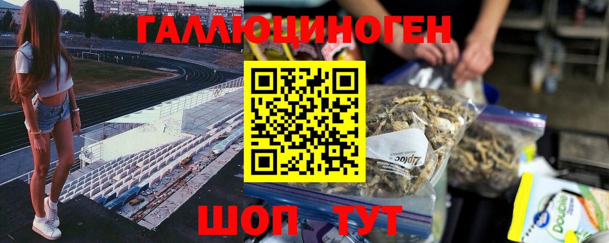 Псилоцибиновые грибы ЛСД Новодвинск