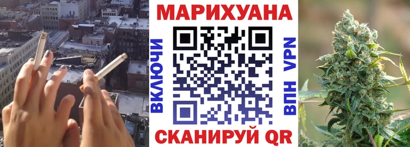 дарнет шоп  Новодвинск  Каннабис конопля 